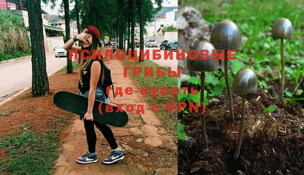 MDMA Premium VHQ Арсеньев