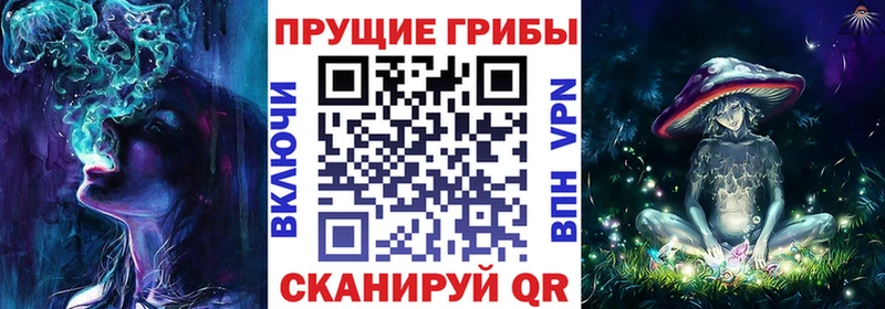 Псилоцибиновые грибы Psilocybine cubensis  Беслан 